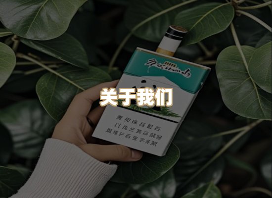 关于逸客网